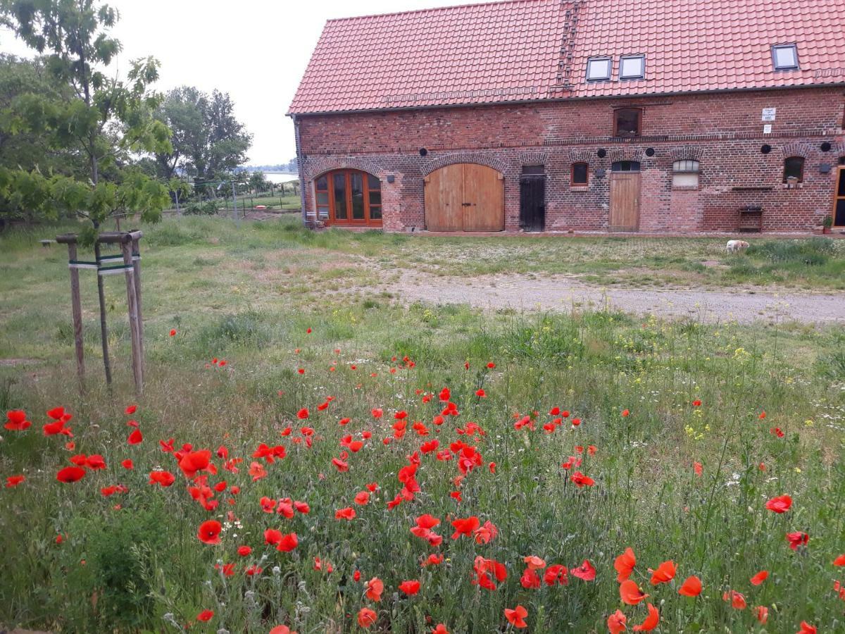 An Den Elbwiesen Gz Fewo Elbeblick Nur Nichtraucher Dommitzsch エクステリア 写真